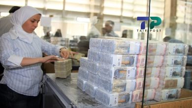 صورة باحثة سورية تقدم أهم مقترح لضبط سعر صرف الليرة السورية أمام الدولار وتحقيق نهضة اقتصادية