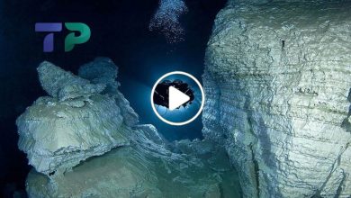 صورة اكتشاف جبل من الكنوز يحتوي على معادن نادرة تحت الماء في دولة عربية سيجعلها الأغنى في العالم (فيديو)