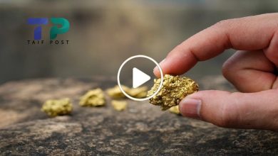 صورة شاب سوري ينجح في ابتكار طريقة ذكية لاستخلاص الذهب من الرمال والتراب ويجني آلاف الدولارات (فيديو)