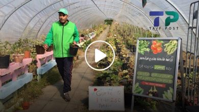 صورة شاب سوري يبدع في زراعة أصناف زراعية سورية في أوروبا ويحقق أرباح هائلة وشهرة واسعة (فيديو)